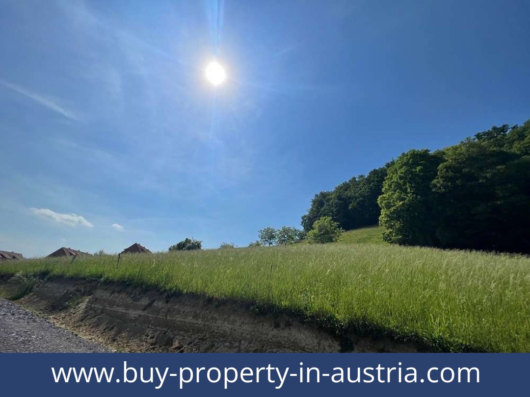buy-property-in-austria-bad gleichenberg-8344-20251011211842-0036501007.jpg